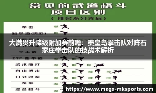 大满贯升降级附加赛前瞻：秦皇岛拳击队对阵石家庄拳击队的技战术解析